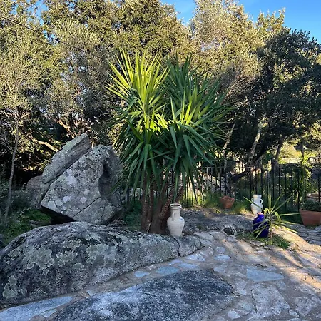 Pianelli Villa Porto Vecchio